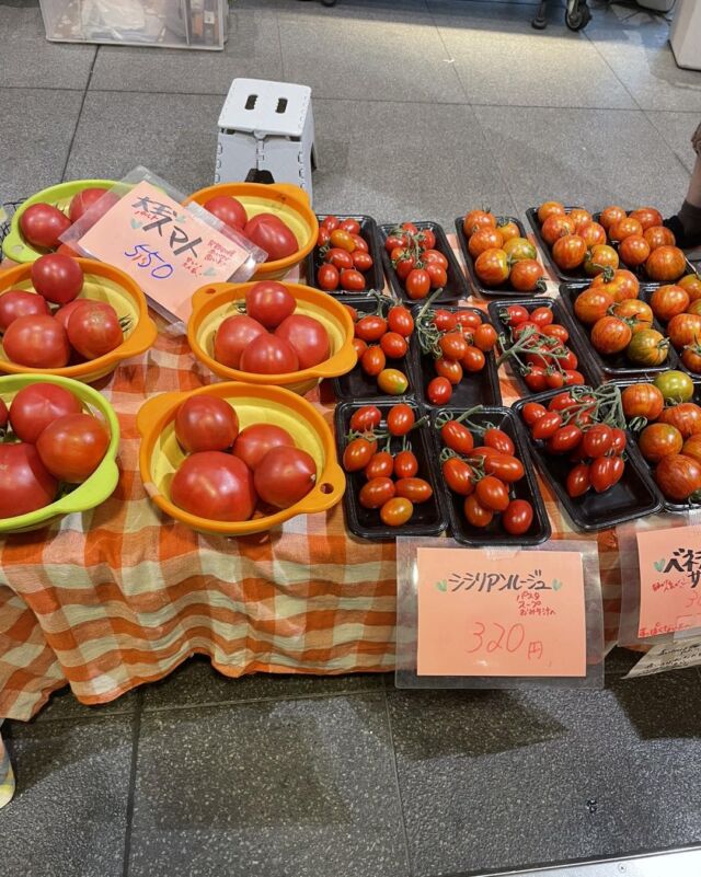 小さな農家 オーガニック農場 森田くん家